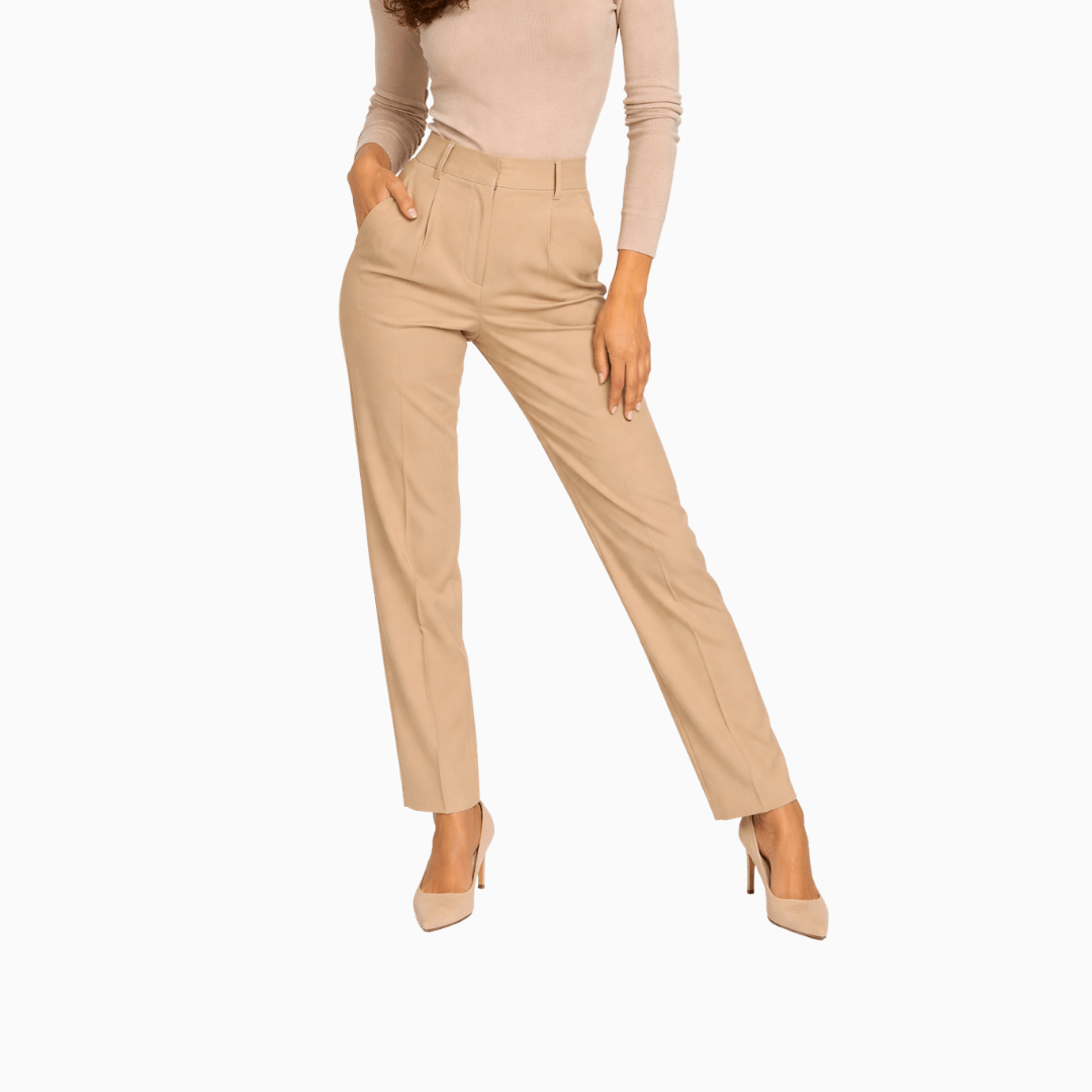 Die Braune Glatte Hose Mit Bundfalte